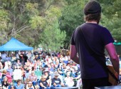 Bullers Winery - Rock In The Vines Festival